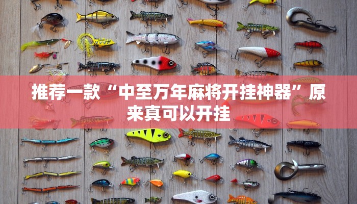 推荐一款“中至万年麻将开挂神器”原来真可以开挂