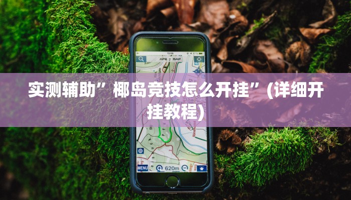 实测辅助”椰岛竞技怎么开挂”(详细开挂教程)