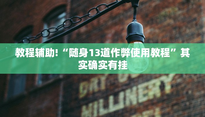 教程辅助!“随身13道作弊使用教程”其实确实有挂