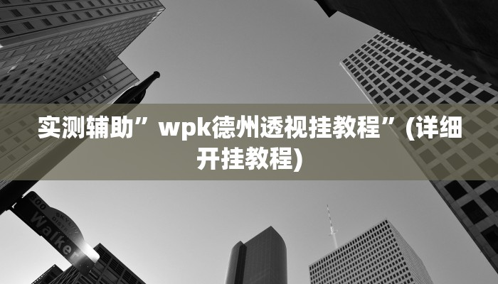 实测辅助”wpk德州透视挂教程”(详细开挂教程)