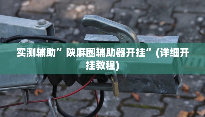 实测辅助”陕麻圈辅助器开挂”(详细开挂教程)