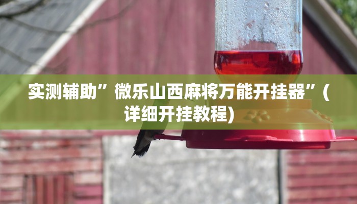 实测辅助”微乐山西麻将万能开挂器”(详细开挂教程)
