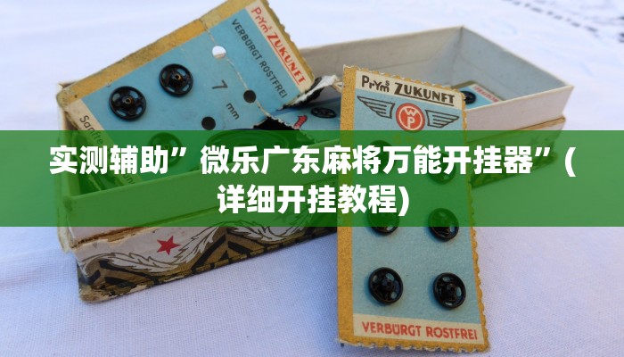 实测辅助”微乐广东麻将万能开挂器”(详细开挂教程)