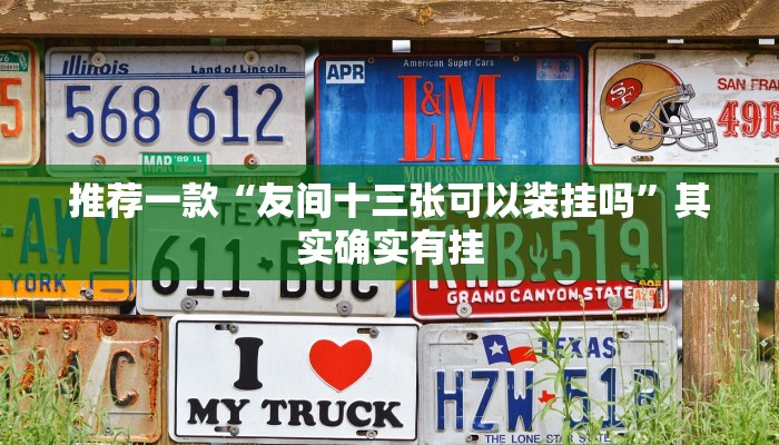 推荐一款“友间十三张可以装挂吗”其实确实有挂