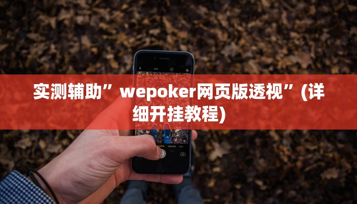 实测辅助”wepoker网页版透视”(详细开挂教程)