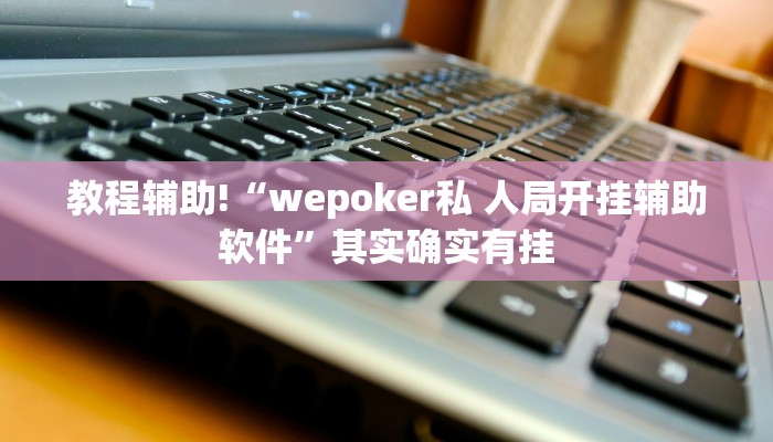 教程辅助!“wepoker私 人局开挂辅助软件”其实确实有挂