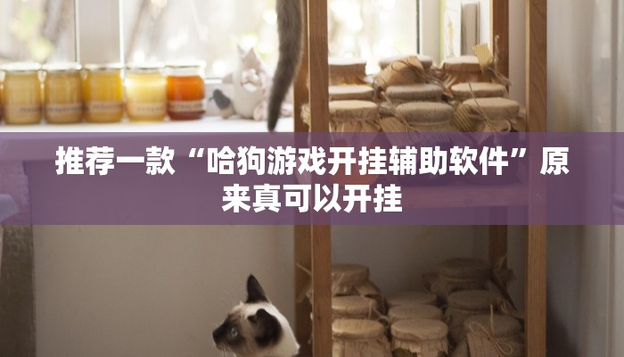 推荐一款“哈狗游戏开挂辅助软件”原来真可以开挂