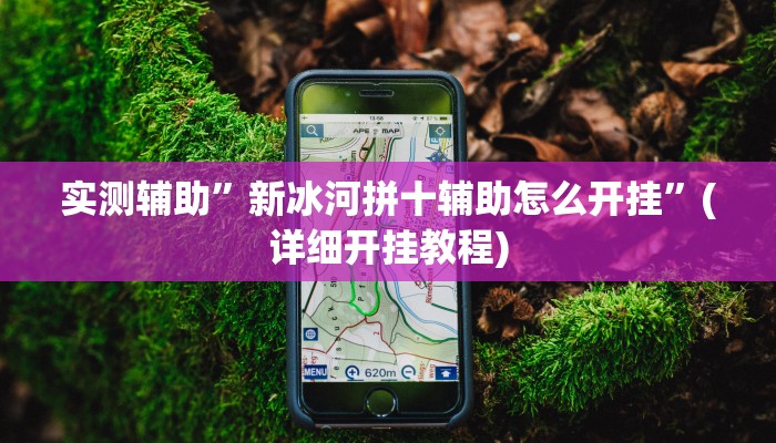 实测辅助”新冰河拼十辅助怎么开挂”(详细开挂教程)