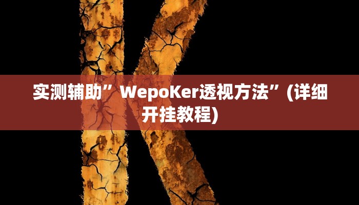 实测辅助”WepoKer透视方法”(详细开挂教程)