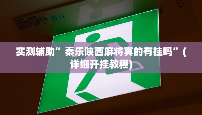 实测辅助”秦乐陕西麻将真的有挂吗”(详细开挂教程)