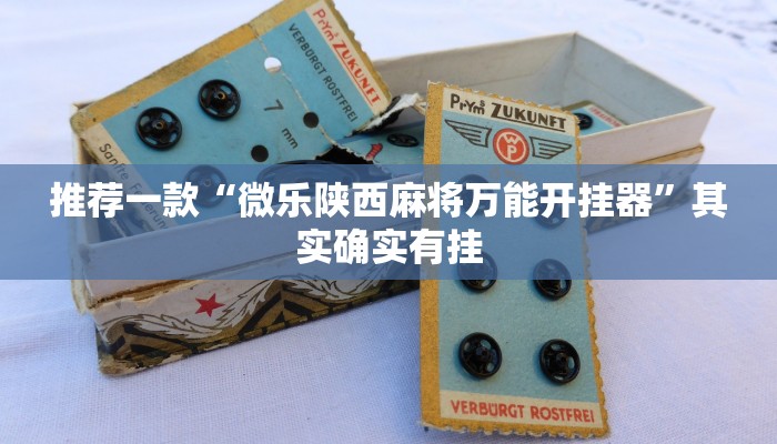 推荐一款“微乐陕西麻将万能开挂器”其实确实有挂