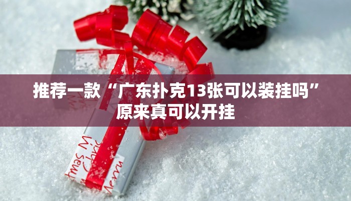 推荐一款“广东扑克13张可以装挂吗”原来真可以开挂