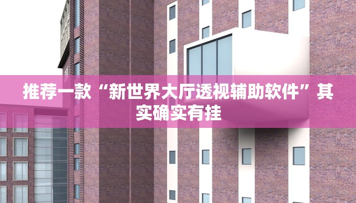 推荐一款“新世界大厅透视辅助软件”其实确实有挂