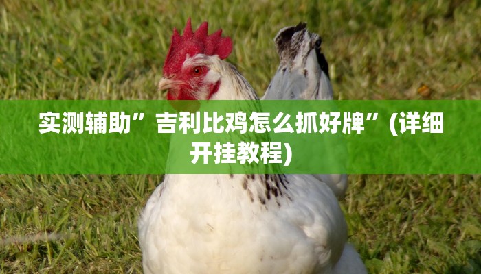 实测辅助”吉利比鸡怎么抓好牌”(详细开挂教程)