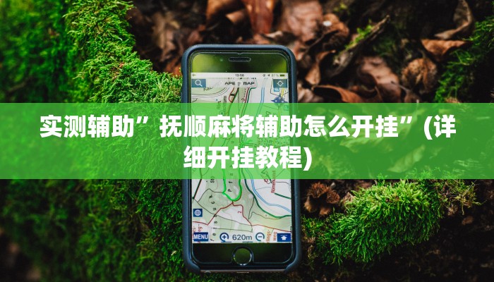 实测辅助”抚顺麻将辅助怎么开挂”(详细开挂教程)