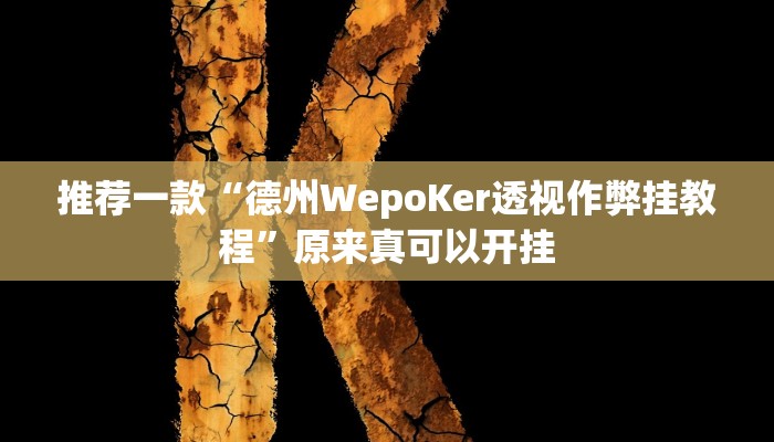 推荐一款“德州WepoKer透视作弊挂教程”原来真可以开挂