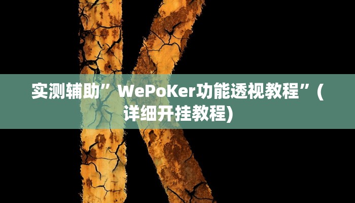 实测辅助”WePoKer功能透视教程”(详细开挂教程)
