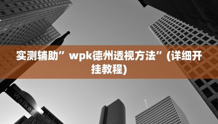 实测辅助”wpk德州透视方法”(详细开挂教程)