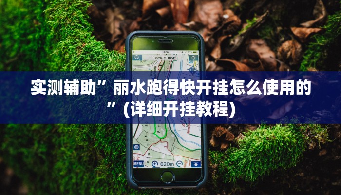 实测辅助”丽水跑得快开挂怎么使用的”(详细开挂教程)