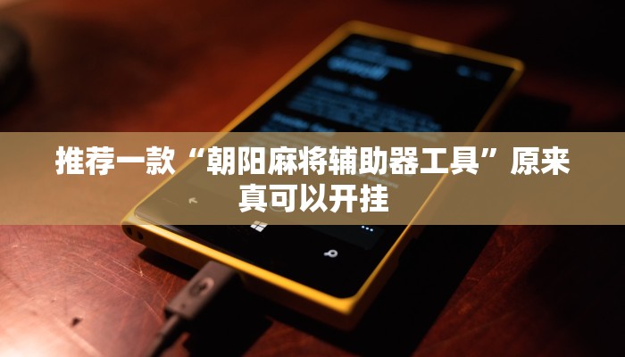 推荐一款“朝阳麻将辅助器工具”原来真可以开挂