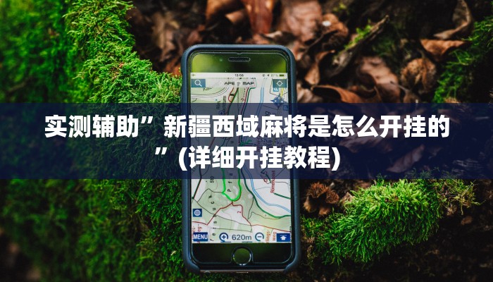实测辅助”新疆西域麻将是怎么开挂的”(详细开挂教程)