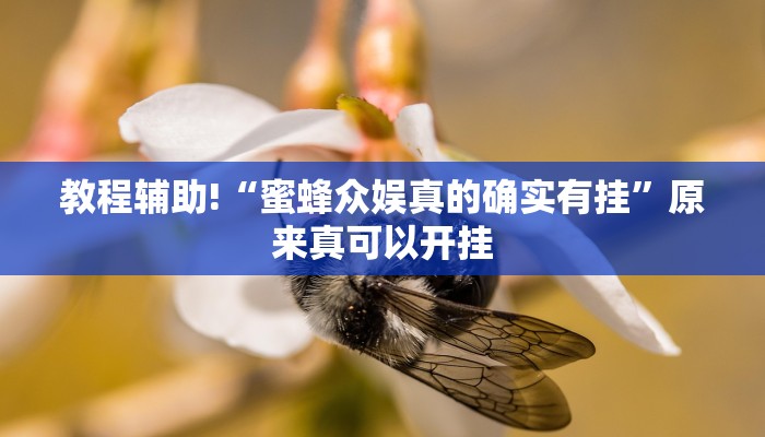 教程辅助!“蜜蜂众娱真的确实有挂”原来真可以开挂