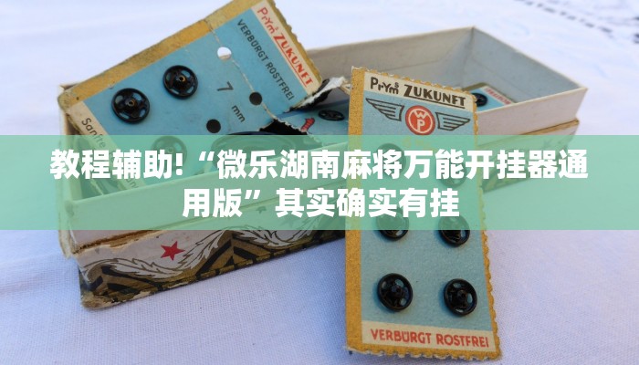 教程辅助!“微乐湖南麻将万能开挂器通用版”其实确实有挂