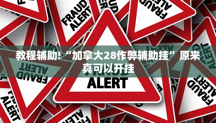 教程辅助!“加拿大28作弊辅助挂”原来真可以开挂
