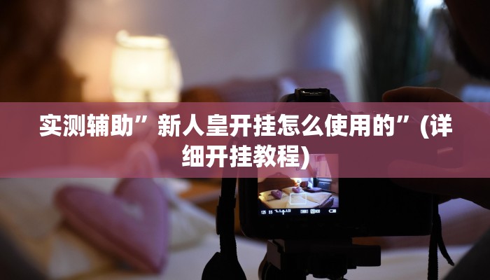 实测辅助”新人皇开挂怎么使用的”(详细开挂教程)