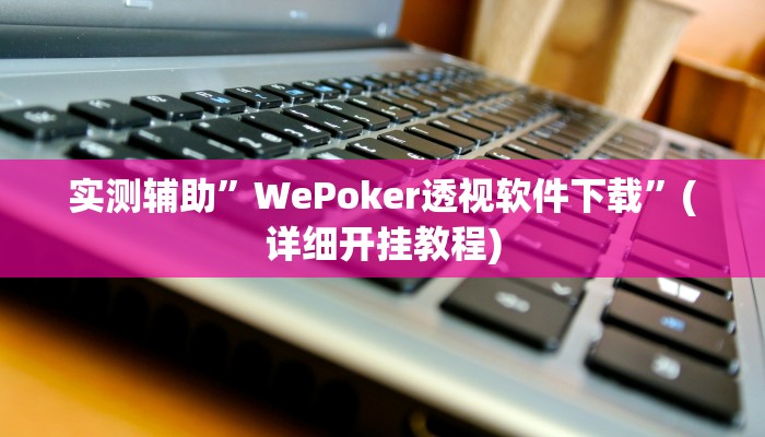 实测辅助”WePoker透视软件下载”(详细开挂教程)