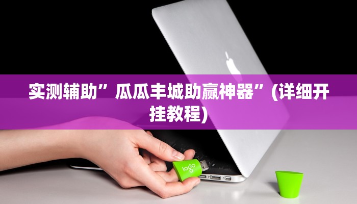实测辅助”瓜瓜丰城助赢神器”(详细开挂教程)