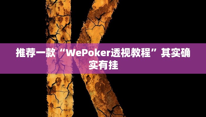 推荐一款“WePoker透视教程”其实确实有挂