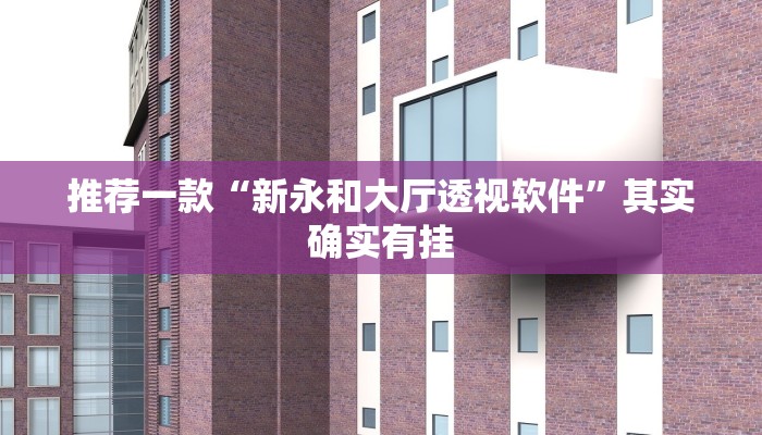 推荐一款“新永和大厅透视软件”其实确实有挂
