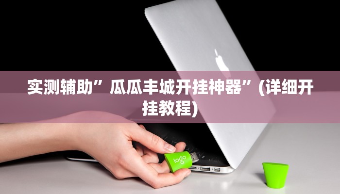 实测辅助”瓜瓜丰城开挂神器”(详细开挂教程)