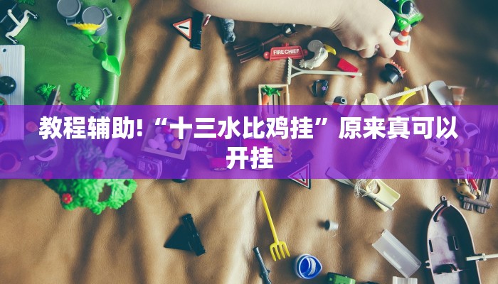 教程辅助!“十三水比鸡挂”原来真可以开挂