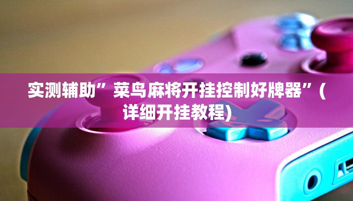 实测辅助”菜鸟麻将开挂控制好牌器”(详细开挂教程)