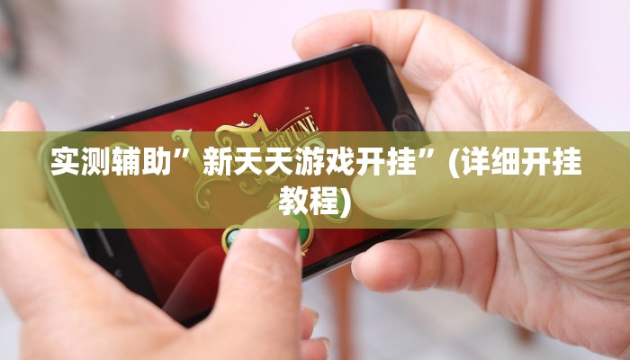 实测辅助”新天天游戏开挂”(详细开挂教程)