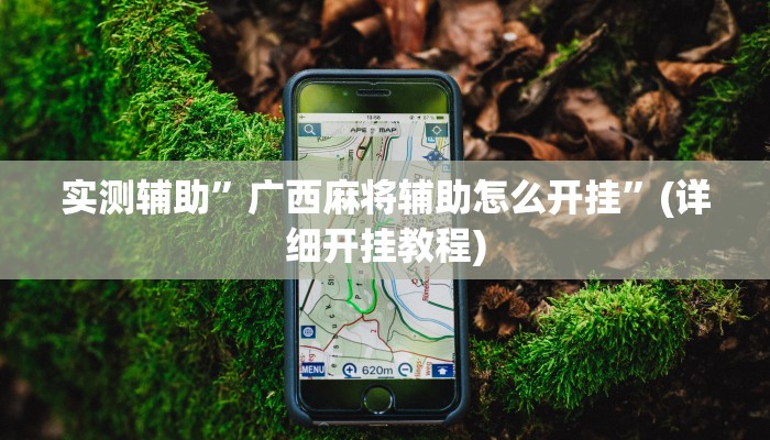 实测辅助”广西麻将辅助怎么开挂”(详细开挂教程)