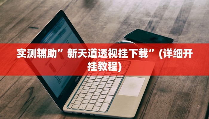 实测辅助”新天道透视挂下载”(详细开挂教程)