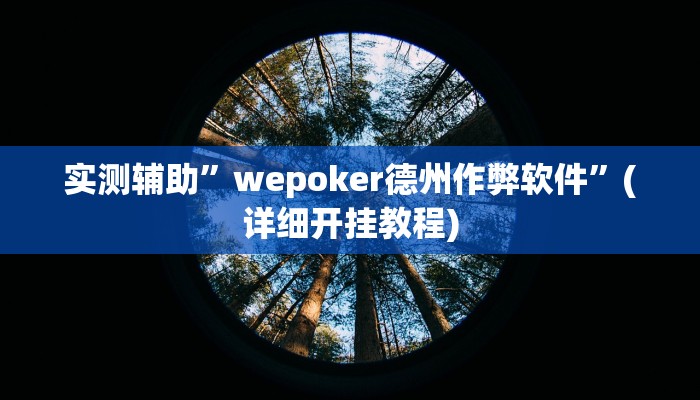 实测辅助”wepoker德州作弊软件”(详细开挂教程)