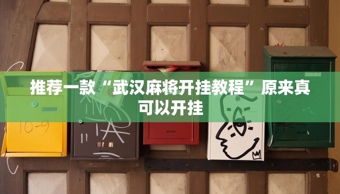 推荐一款“武汉麻将开挂教程”原来真可以开挂