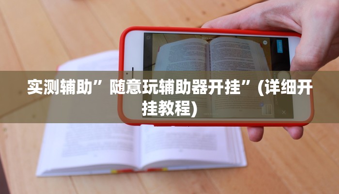 实测辅助”随意玩辅助器开挂”(详细开挂教程)