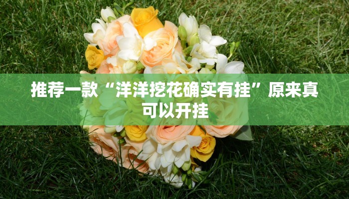 推荐一款“洋洋挖花确实有挂”原来真可以开挂
