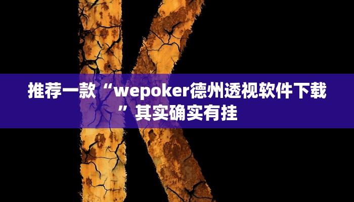 推荐一款“wepoker德州透视软件下载”其实确实有挂