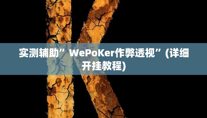 实测辅助”WePoKer作弊透视”(详细开挂教程)
