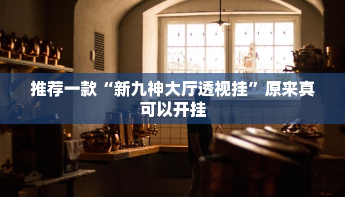 推荐一款“新九神大厅透视挂”原来真可以开挂