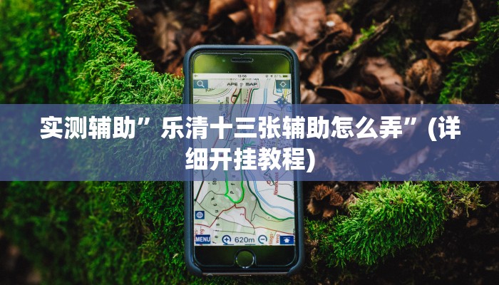 实测辅助”皮皮跑胡子透视神器”(详细开挂教程)