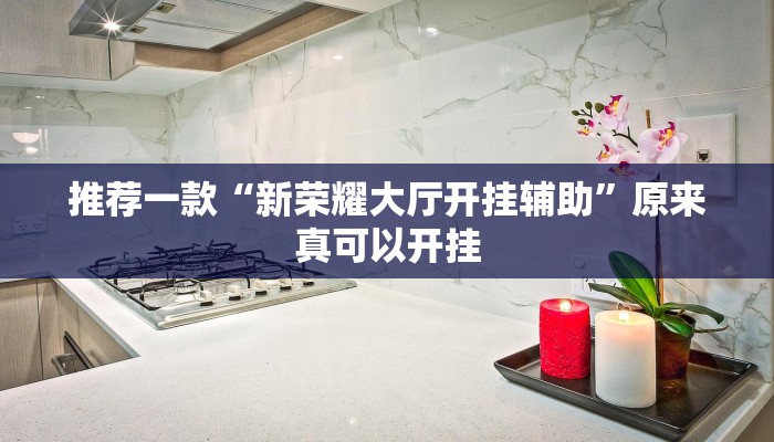 推荐一款“新荣耀大厅开挂辅助”原来真可以开挂