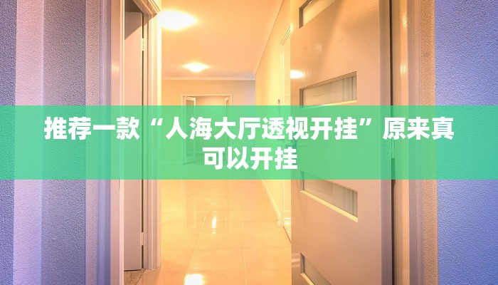 推荐一款“人海大厅透视开挂”原来真可以开挂