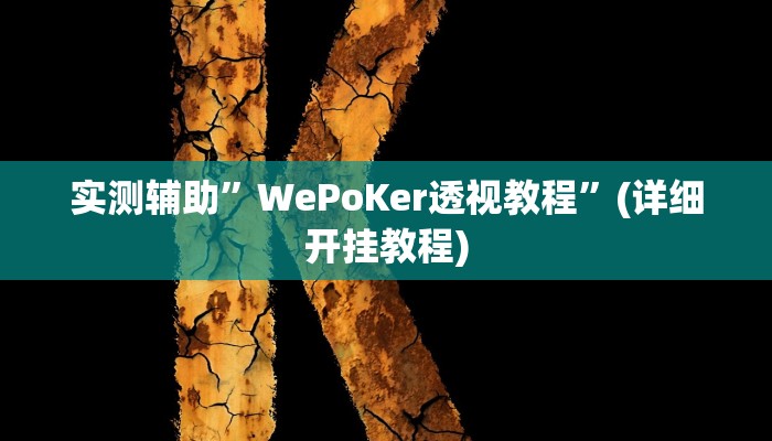 实测辅助”WePoKer透视教程”(详细开挂教程)